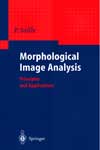 Morphological image analysis