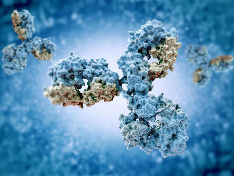Antibody Engineering Saves Lives