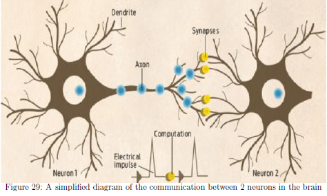 Introducing the Neural Network that Can Help with Early Detection of Epileptic Seizures