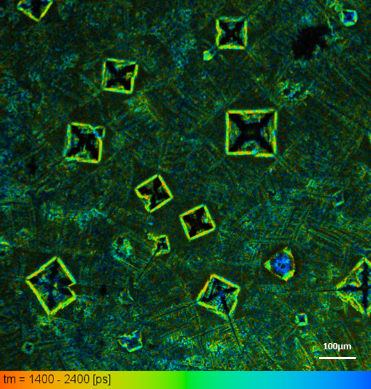  צילום של ליפוזומים המכילים ננו חלקיקי זהב שהוצמדו לחומרים פלורוסצנטיים