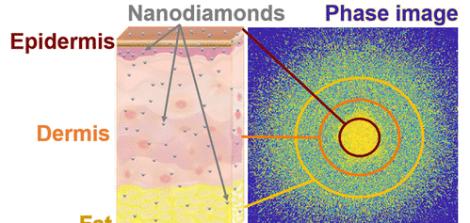 Noninvasive Nanodiamond Skin Permeation Profiling Using a Phase Analysis Method: Ex Vivo Experiments