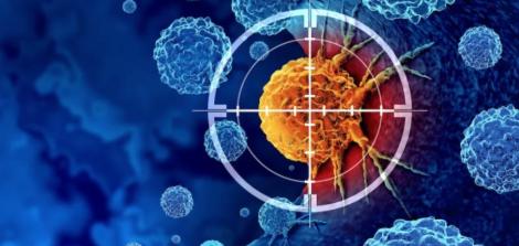 Israeli researchers develop method to measure interaction between immune and cancer cells