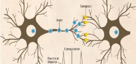 Introducing the Neural Network that Can Help with Early Detection of Epileptic Seizures