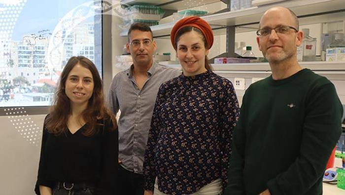 sraeli researchers measure interaction between immune cells and cancer cells 