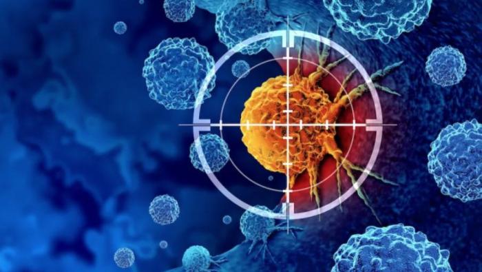 Israeli researchers develop method to measure interaction between immune and cancer cells