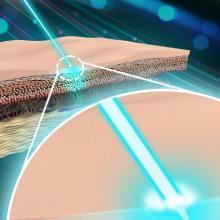 Nanodiamonds permeating through skin layers are measured by a blue wavelength laser. (Courtesy Prof. Dror Fixler)