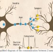Introducing the Neural Network that Can Help with Early Detection of Epileptic Seizures