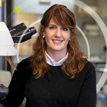Prof. Rachela Popovtzer receives ERC grant to develop a cure for rare genetic brain diseases