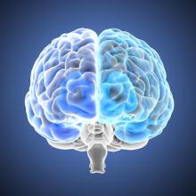 כוח המוח - ד"ר יערה ארז מפענחת סיגנלים מוחיים משיטות דימות שונות, ומנסה להבין איך הם קשורים לתפקוד ותהליכי חשיבה. המחקר פורץ הדרך שלה הגיע עד ה-BBC